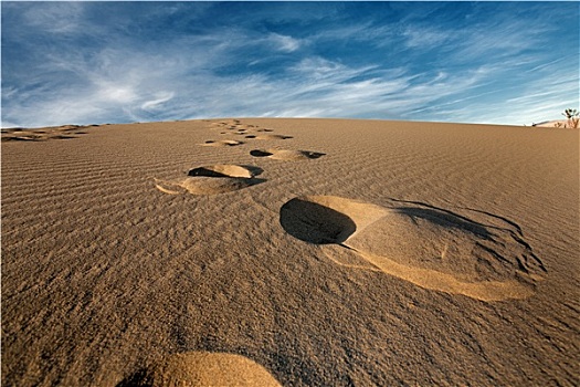 脚步,沙漠,沙子