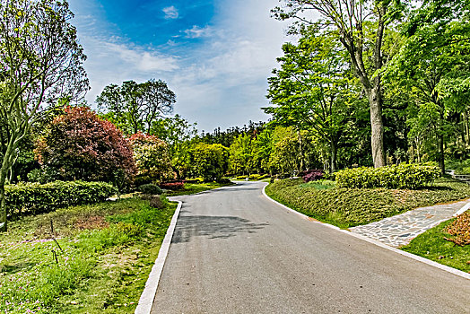 江苏省南京市银杏湖公园平坦大道景观