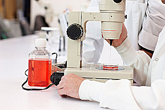 科学家,显微镜,学习,细胞