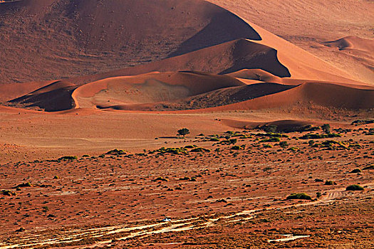 四驱车,沙,索苏维来地区,纳米比诺克陆夫国家公园,纳米比亚,非洲