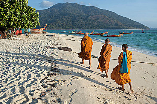 僧侣,收集,早晨,施舍,海滩,岛屿,泰国,亚洲