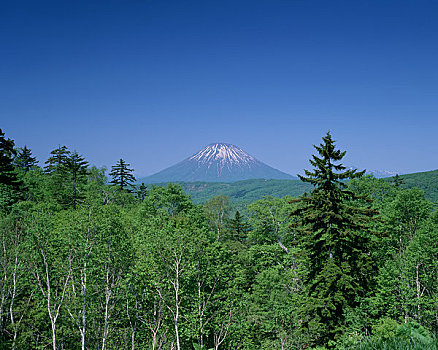 嫩绿色,山