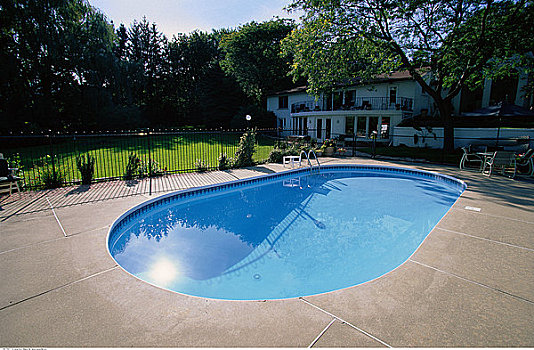 游泳池,后院,房子