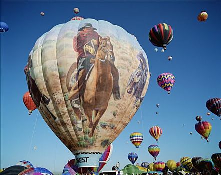 阿布奎基,气球,节日,彩色,热气球,新墨西哥,美国