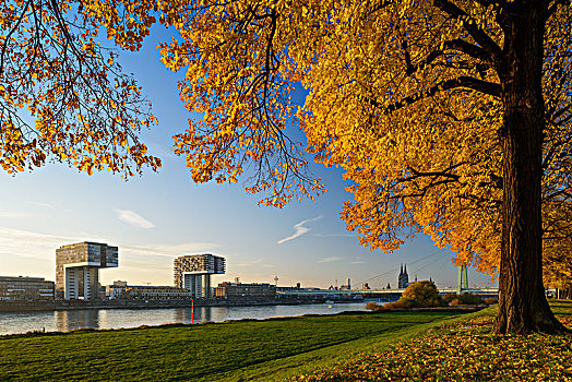 风景,莱茵河,起重机,房子,科隆大教堂,联合国教科文组织,科隆,北莱茵威斯特伐利亚,德国,欧洲