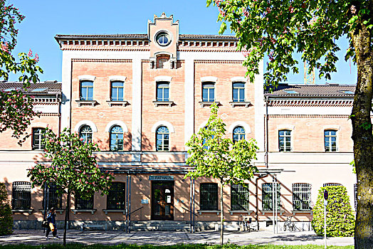 罗森海姆,市政厅,上巴伐利亚,巴伐利亚,德国