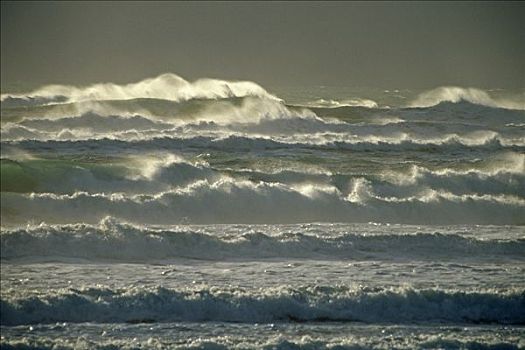 海洋,波浪