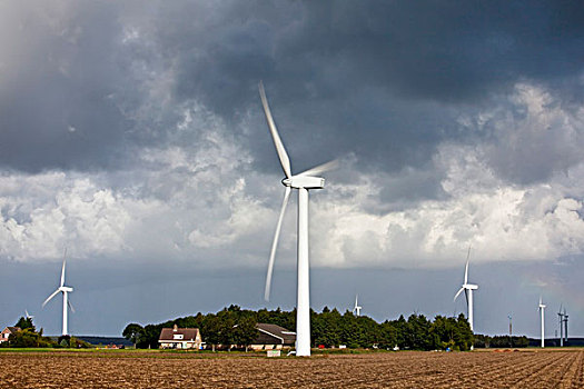 荷兰,风轮机,风车,农场