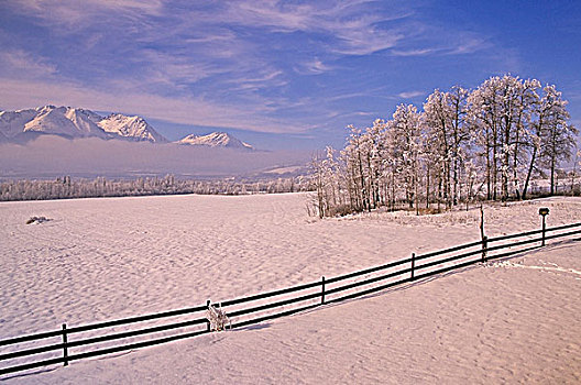 冬景,山谷,不列颠哥伦比亚省,加拿大