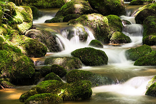 山川,树林