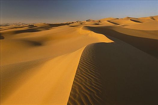 沙丘,阿尔及利亚,非洲