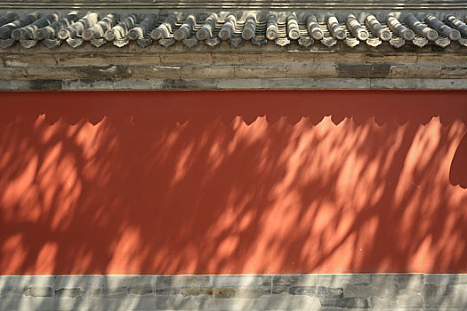 树影斑驳的故宫红墙