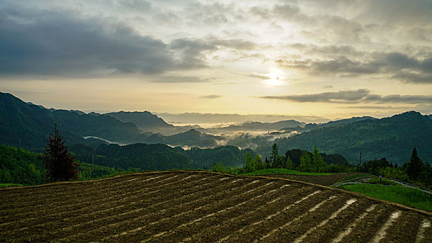 重庆酉阳,四月梯田美如画