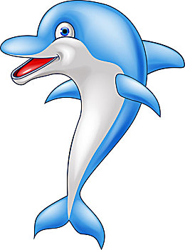 海豚图片卡通正面图图片