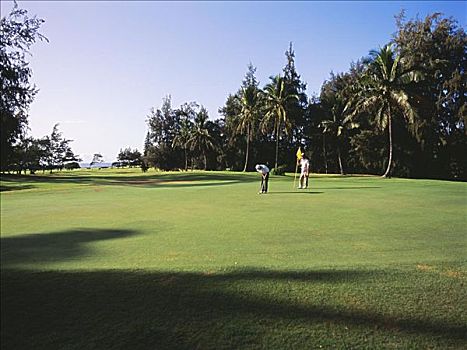夏威夷,考艾岛,威陆亚,城市,高尔夫球场,两个,打高尔夫,打球入洞