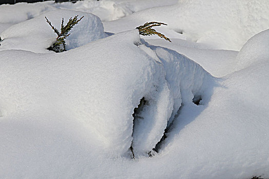 雪景