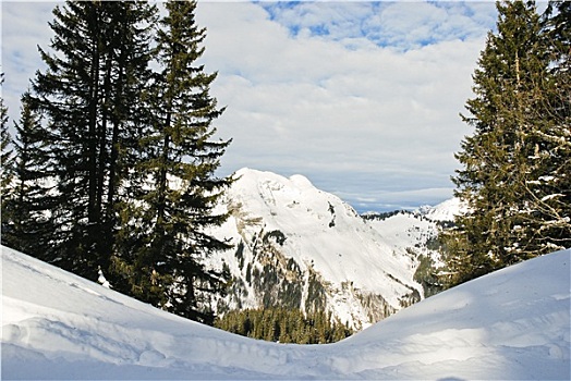 风景,雪,山,区域
