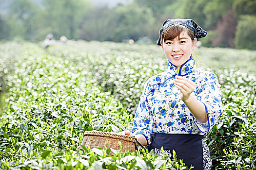 亚洲人,漂亮,女孩,种植园