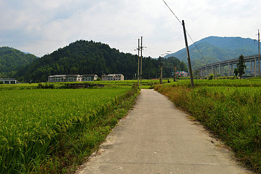 田园风光