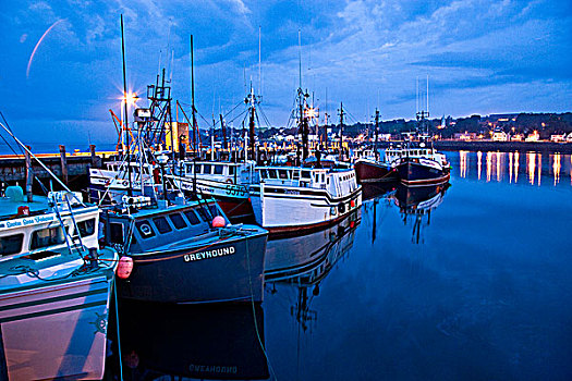 扇贝,船队,渔人码头,一个,北方,收割机,新斯科舍省,加拿大