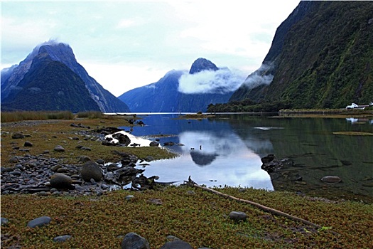 米尔福德峡湾,新西兰