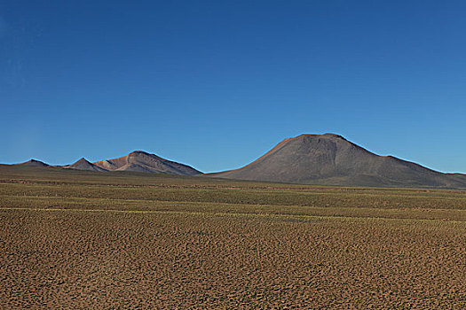 佩特罗,阿塔卡马沙漠