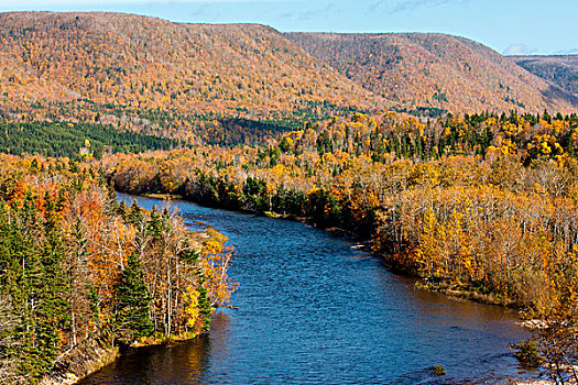 河,秋天,布雷顿角,新斯科舍省,加拿大