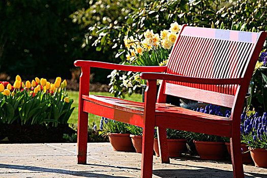 红色,公园长椅,太阳