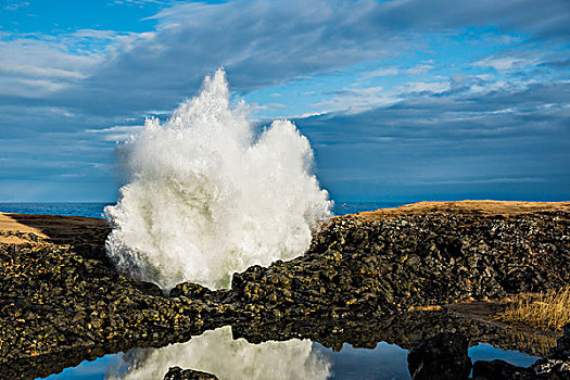 喷泉,海浪,向上,石头,仰视,半岛,冰岛,欧洲