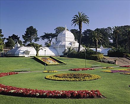 温室,花,金门公园,旧金山,加利福尼亚,美国