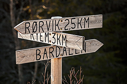 木质,路标,乡村,挪威