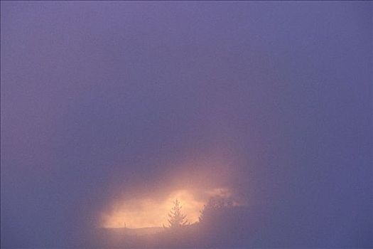 日出,薄雾,热,区域,陶波,北岛,新西兰