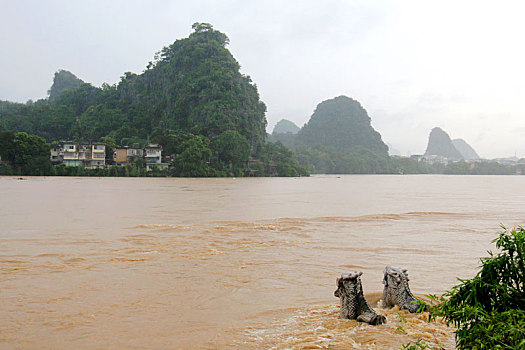 桂林连降暴雨,漓江洪水,河水淹上河岸,江水浑浊