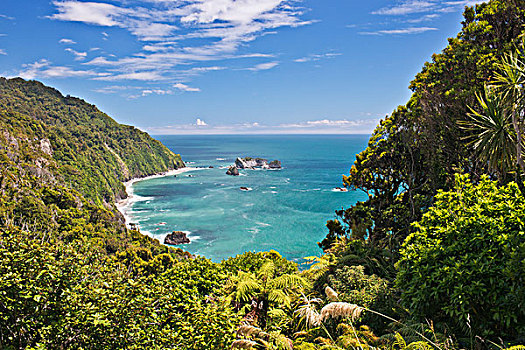 新西兰,南岛,靠近,大幅,尺寸