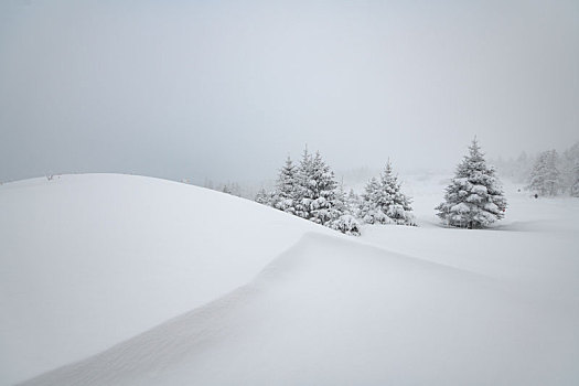 林海雪原中的雾凇