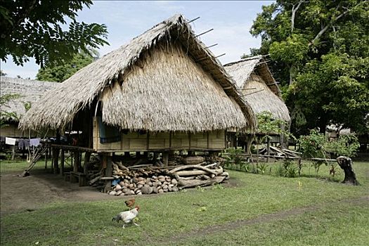 传统,乡村,住宅,巴布亚新几内亚,美拉尼西亚