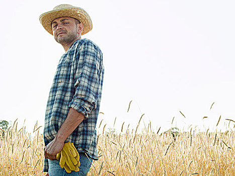 男人,戴着,格子衬衫,帽子,站立,玉米田