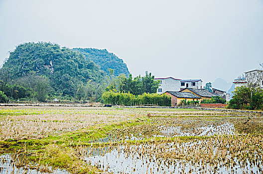 田园秋色