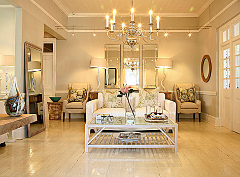 苍白,客厅,沙发,茶几,扶手椅,镜子,银,吊灯