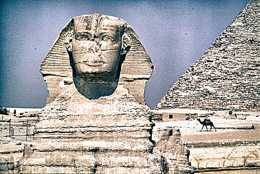 特写,狮身人面像,卡夫拉金字塔,背景,吉萨金字塔,埃及
