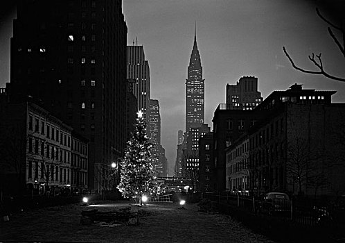 美国,纽约,圣诞树,都铎式建筑,城市,克莱斯勒大厦,背景
