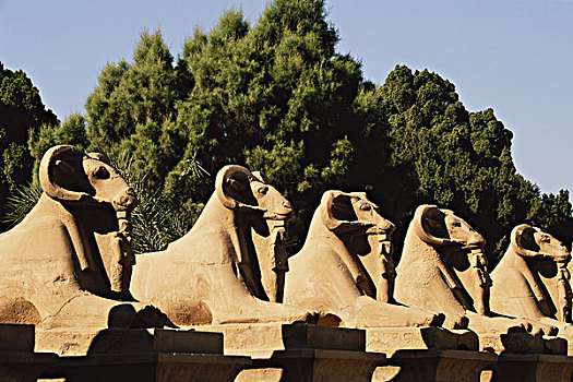 埃及,路克索神庙,狮身人面像,卡尔纳克神庙,大幅,尺寸
