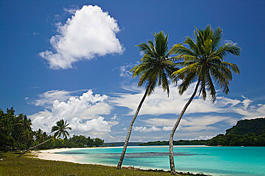 瓦努阿图,港口,城镇,海滩
