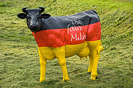 母牛,德国,国家,彩色,抗议,牛奶,价格,巴伐利亚,欧洲