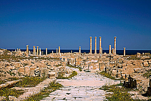 萨布拉塔,利比亚,柱子,站立,古老,罗马,城市,地中海