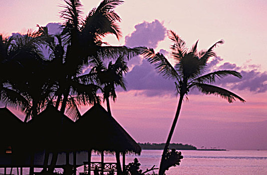 印度洋,马尔代夫,日落