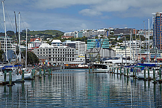 码头,中央商务区,惠灵顿,北岛,新西兰