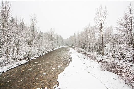 积雪,溪流,风景,冬天
