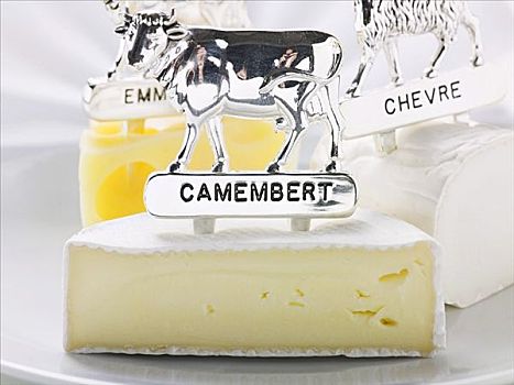 卡门贝软质乳酪,瑞士干酪,动物造型
