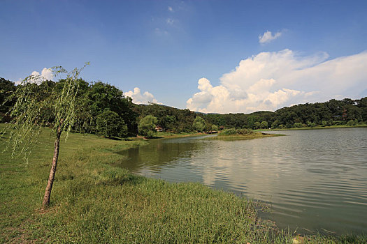 南京琵琶湖风景